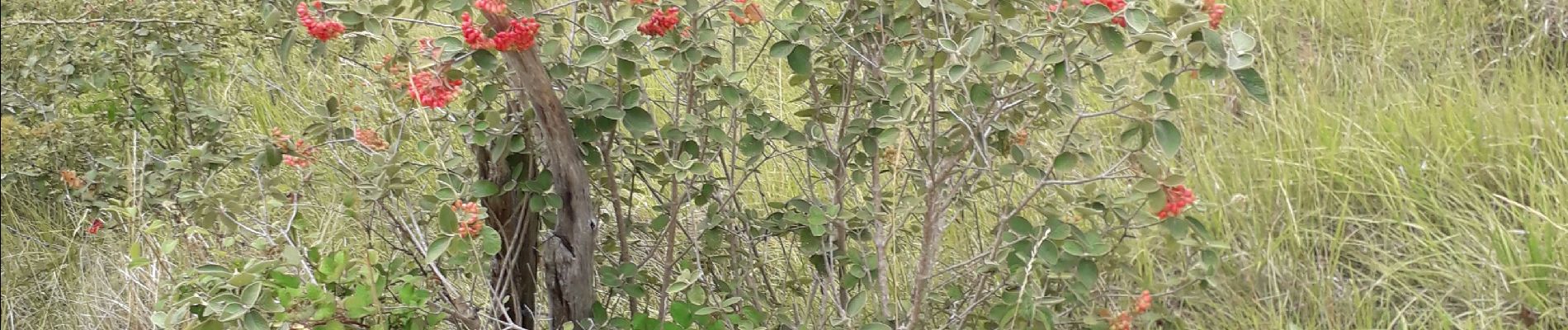 Randonnée Marche Giverny - Giverny : les coteaux vers le Vexin 13 km - Photo