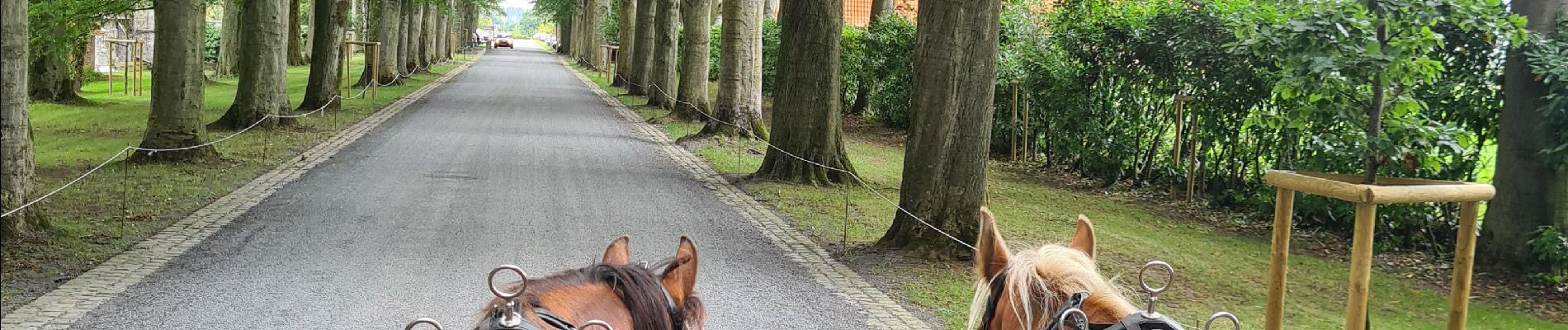 Percorso Carrozza Pecq - balade pecq - Photo