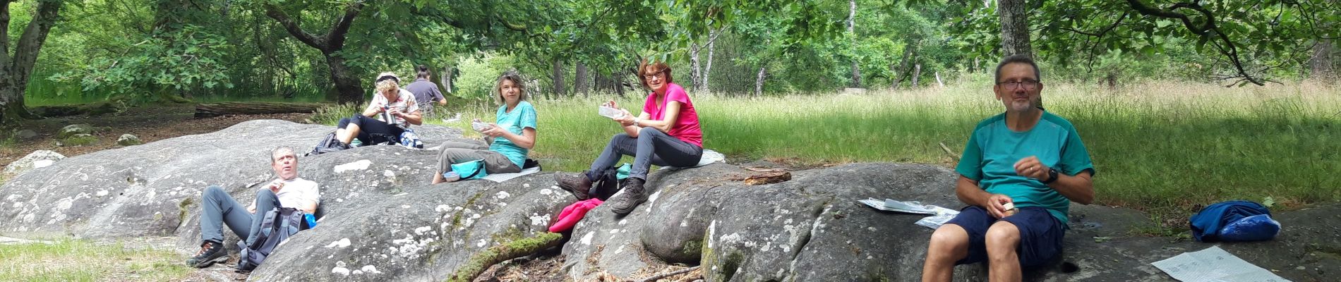 Randonnée Marche Fontainebleau - Rando Fontainebleau mare aux fées 18km - Photo