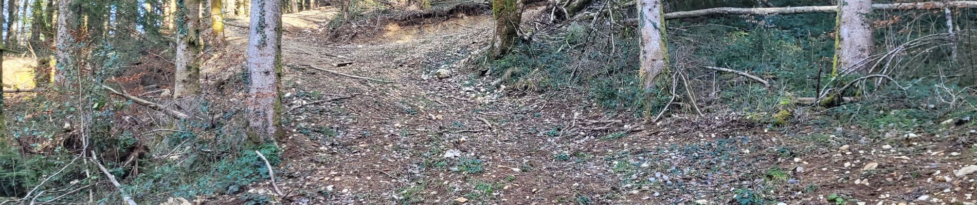 Randonnée Marche Martignat - cimetierre  vers grospiron - Photo