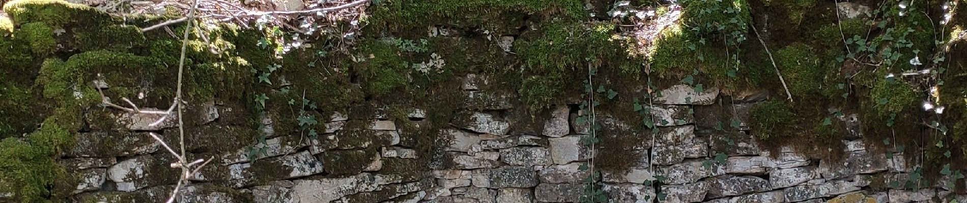 Point d'intérêt Prenois - Source de Torcy - Photo