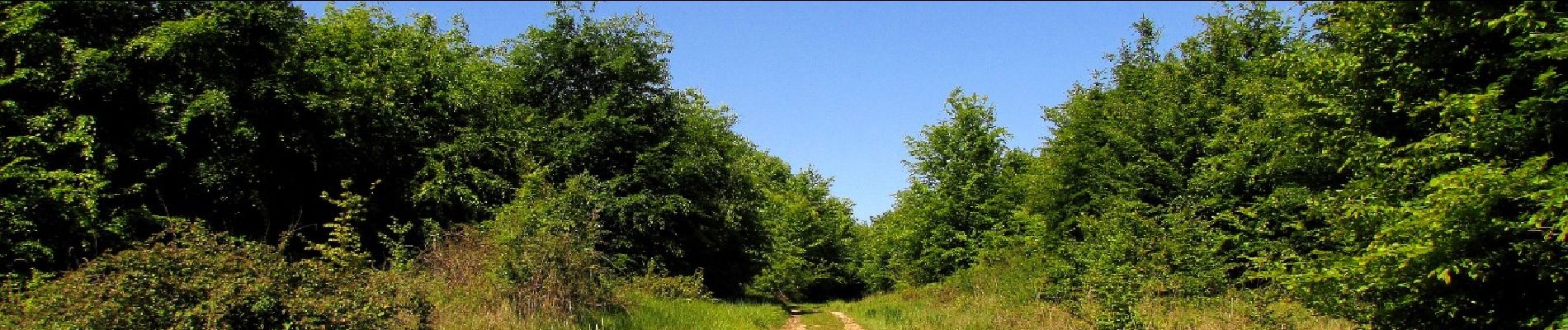 Point d'intérêt Trosly-Breuil - Point 24 - Photo