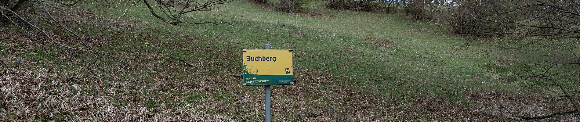 Percorso A piedi Gemeinde Spitz - Rotes Tor Rundwanderung - Photo