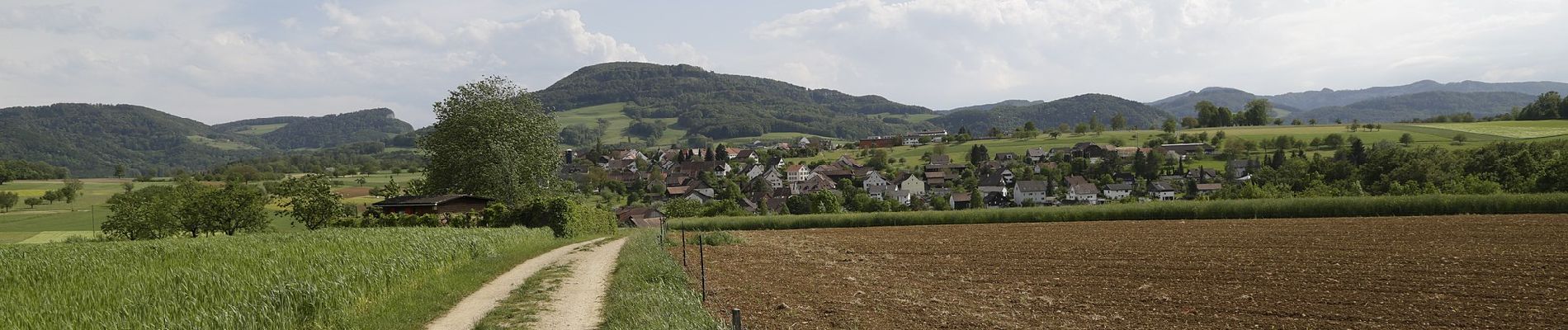 Excursión A pie Tecknau - Tecknau - Ormalingen - Photo