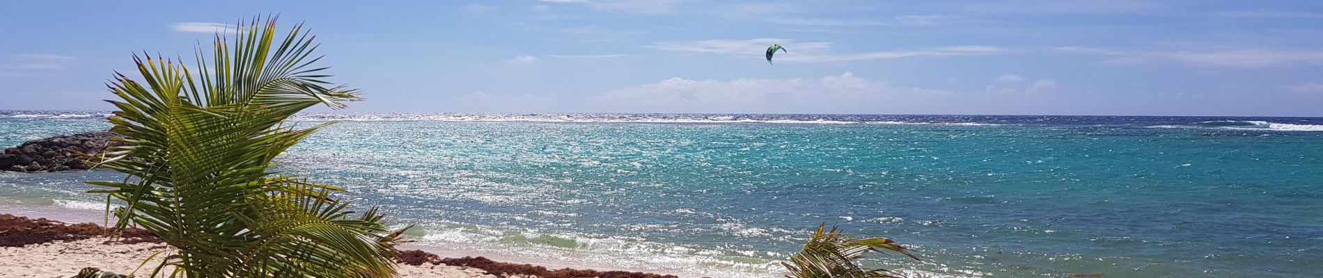 Trail Walking Capesterre-de-Marie-Galante - Marie Galante - Les Hauts de Capesterre  - Photo