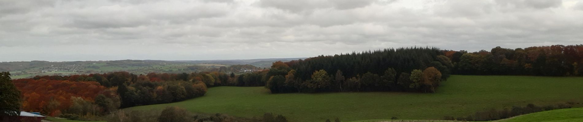 Tocht Stappen Theux - tour  des fermes. f airifagne . f wisselez . Mont . hodbomont . f st Remacle - Photo