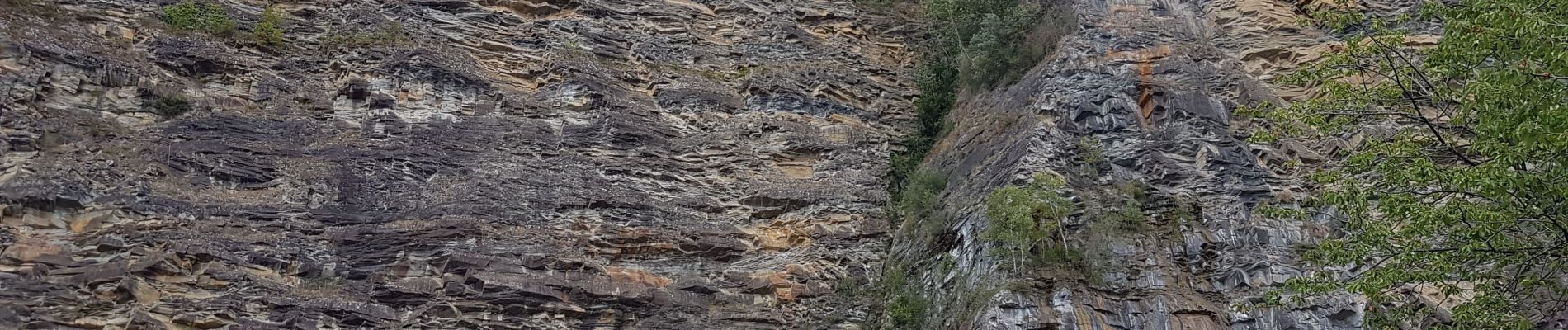 Tour Wandern Aywaille - Remouchamps - Kin - Aywaille - Château de Florzé - Photo