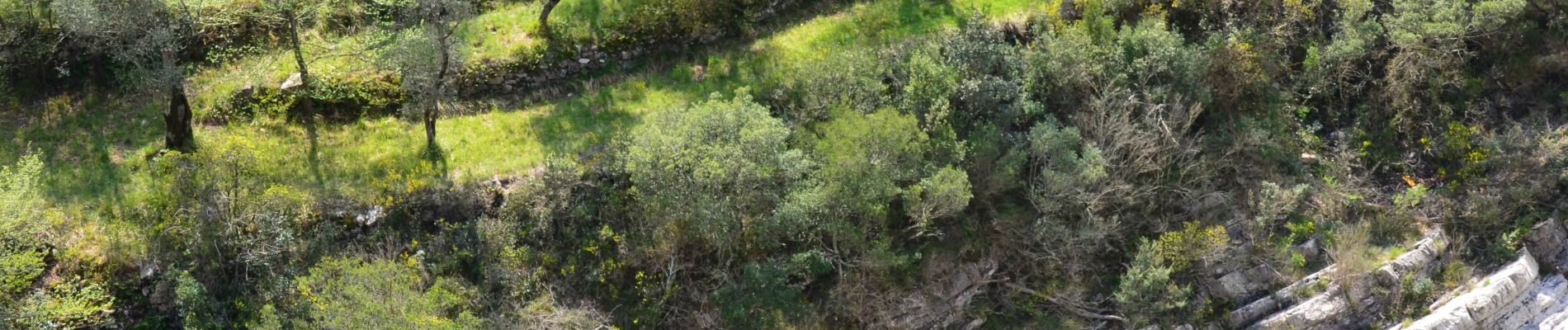 Tocht Stappen Airole - Airole à Breil sur Roya - Photo