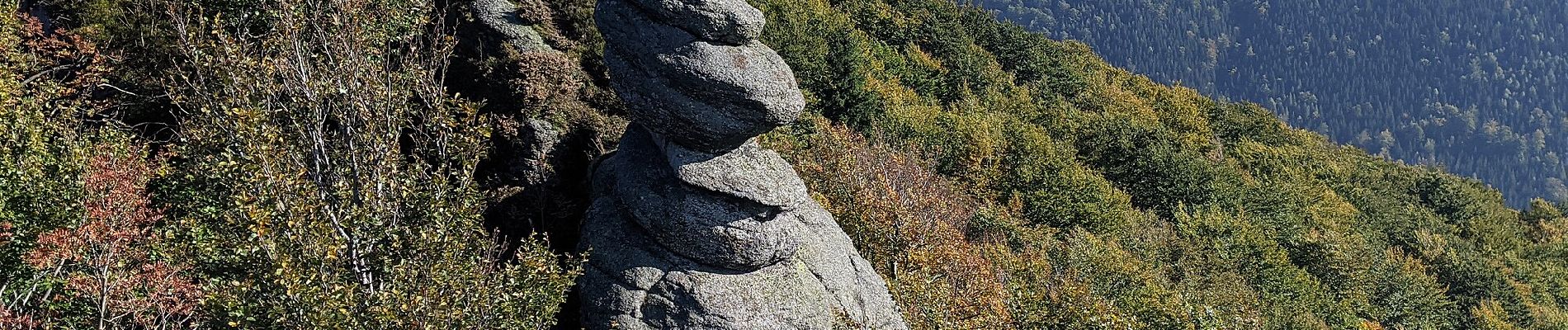 Tour Zu Fuß Haindorf - CZ-6964 - Photo