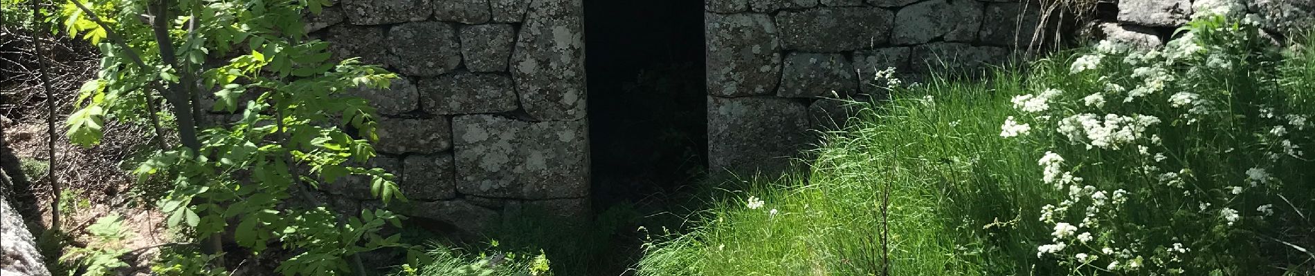 Randonnée Marche Pont de Montvert - Sud Mont Lozère - La Croix de Berthelot pont du Tarn - Photo