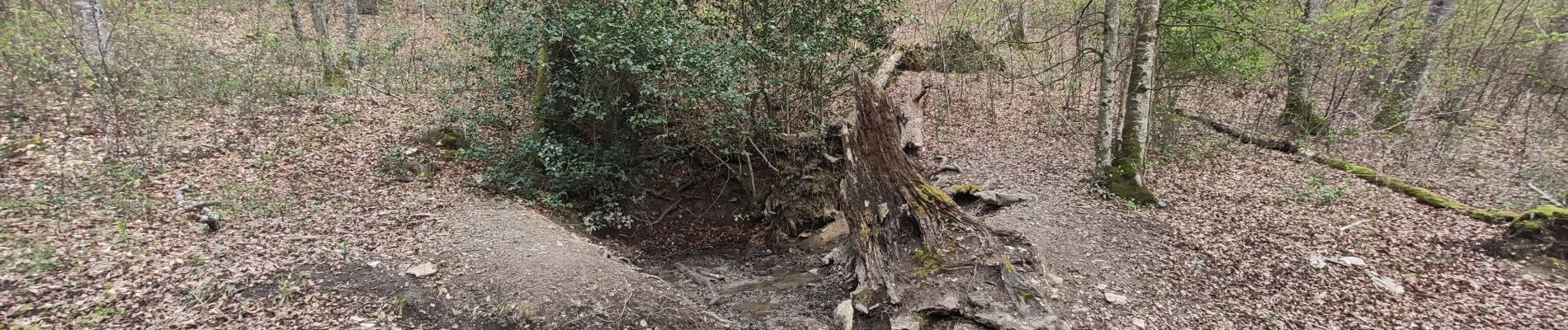 Point d'intérêt Valforêt - Trou-de-Fiat - Photo