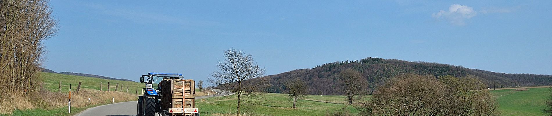 Percorso A piedi Gemeinde Wienerwald - Gemeinde Wienerwald Rundwanderweg 6 bei Sittendorf - Photo