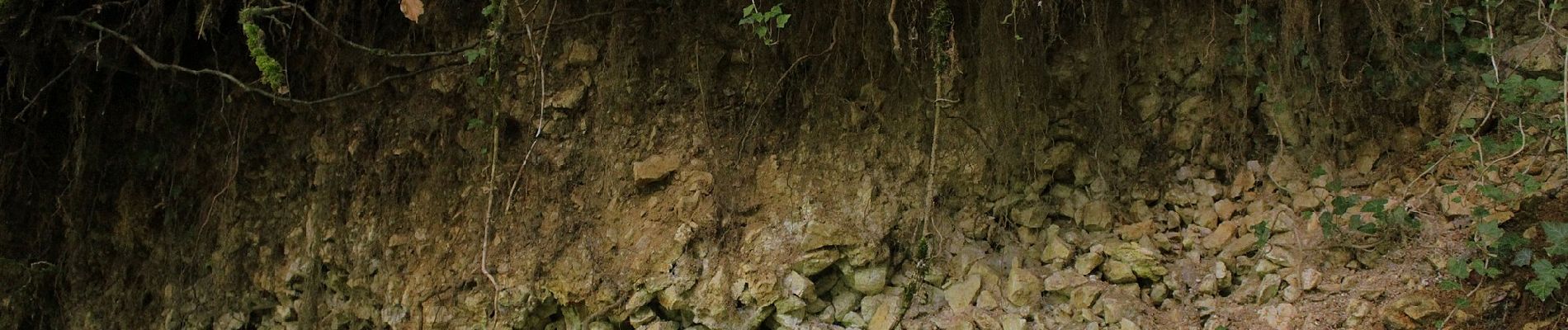 Randonnée A pied Montferrand-le-Château - Sentier de Crête et Bois Rapin - Photo