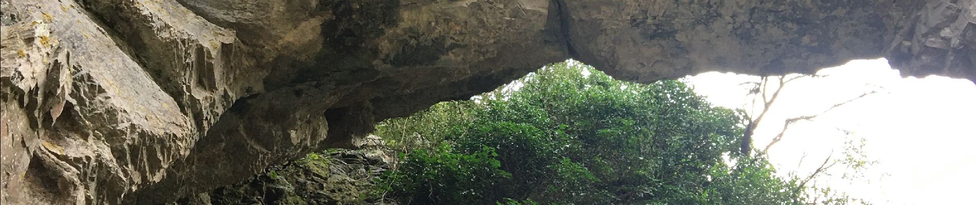 Tocht Stappen Corconne - Corconne : pont du hasard et chapelle le 19 mars  - Photo