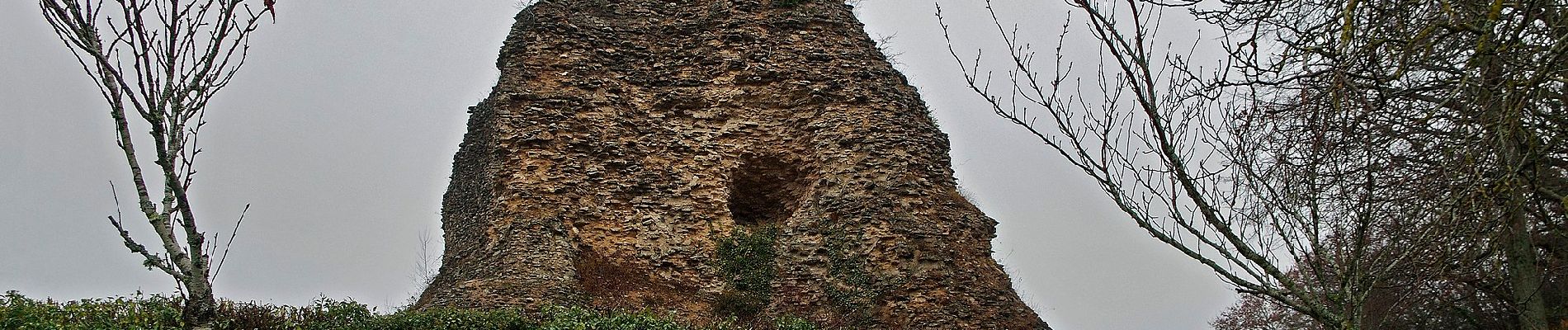 Tocht Te voet Autun - La Croix de la Libération - Photo