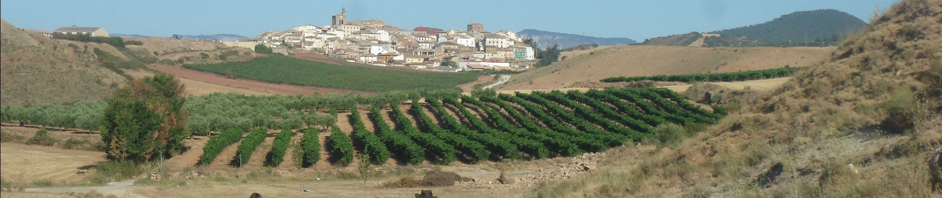 Excursión Senderismo Puente la Reina - Camino Francés - Etp5 - Puente la Reina - Estella - Photo