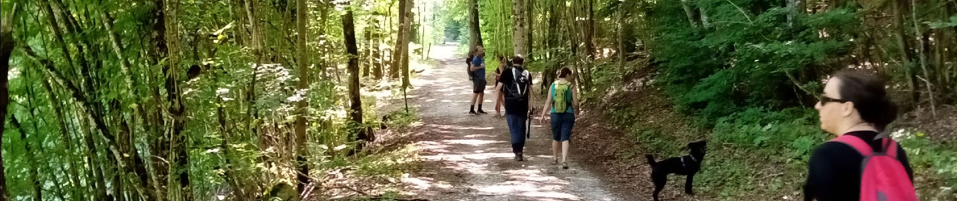 Excursión Senderismo Claix - Le plateau de Peuil - Photo