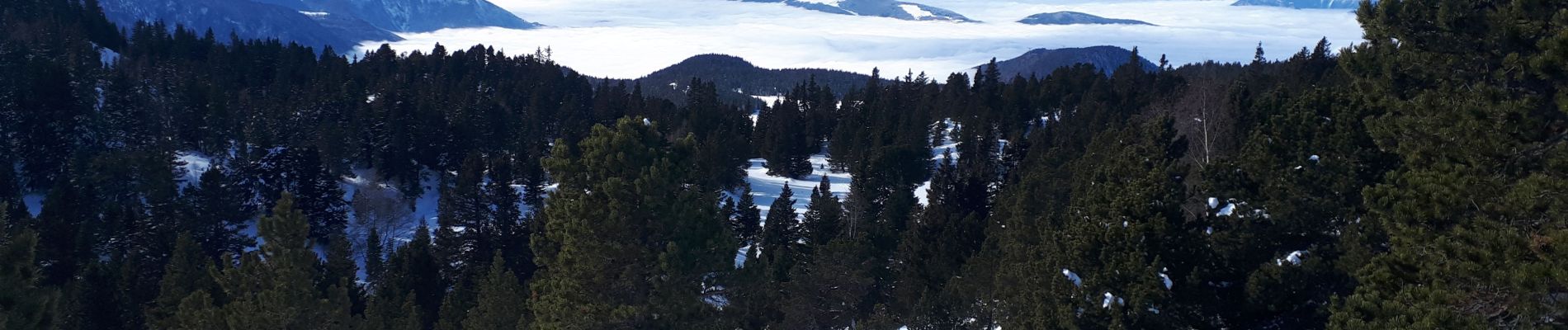 Tour Schneeschuhwandern Vaulnaveys-le-Haut - Col De la Botte en circuit - Photo