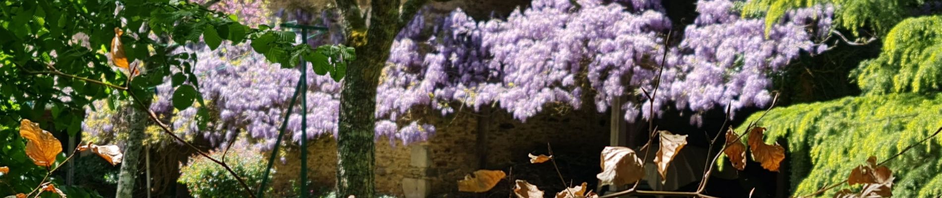 Randonnée Marche Verneuil-sur-Vienne - m'as du puy - Photo