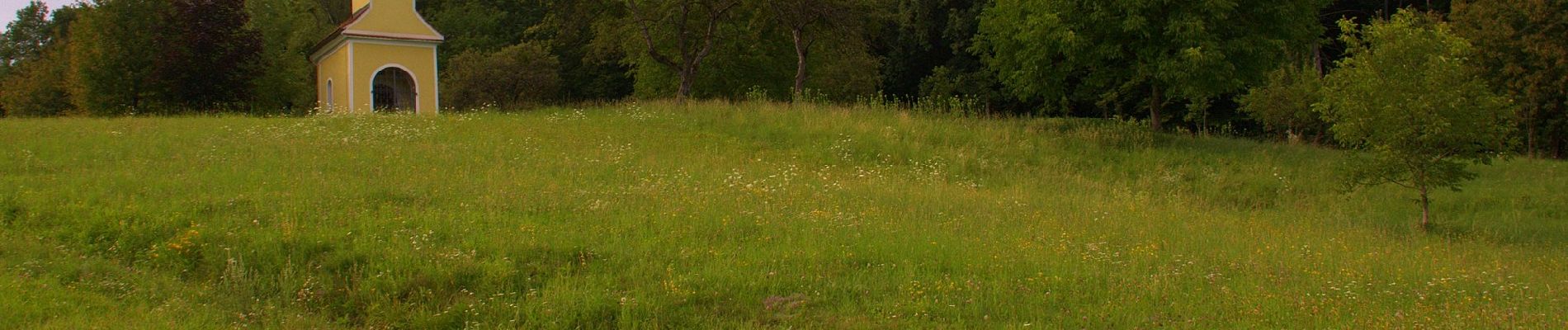 Trail On foot Albersdorf-Prebuch - Wanderweg 1 - Photo