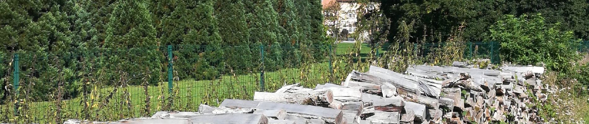 Tour Reiten Rixingen - marche des étangs rechicourt le château  - Photo