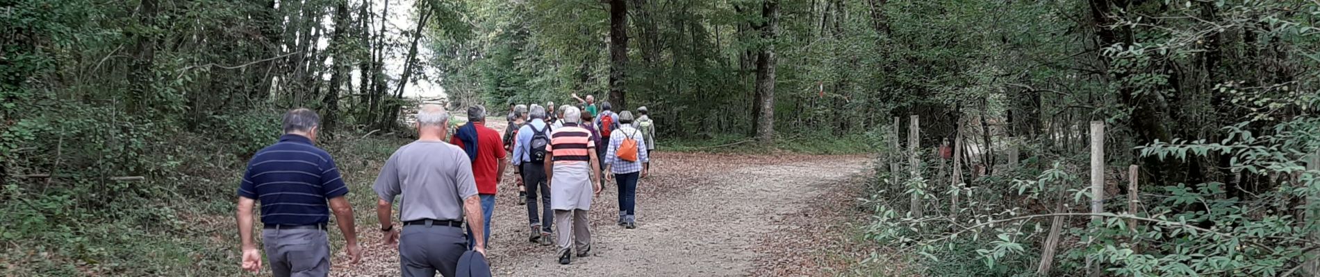 Trail Walking Moulins-sur-Tardoire - La rando de Vilhoneur côté Nord - Photo