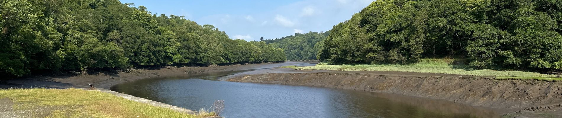 Randonnée Marche Lannion - Lannion-Locquemeau - 23,7 km - Photo