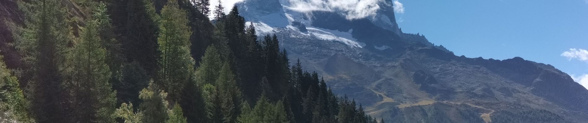 Trail Walking Chamonix-Mont-Blanc - TMB8 CAF 24 - Photo