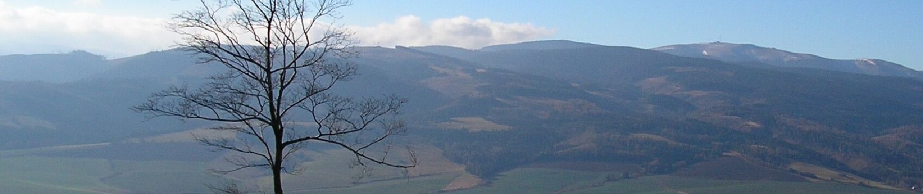 Excursión A pie okres Poprad - Kvetnica - Zámčisko - Kvetnica - Photo