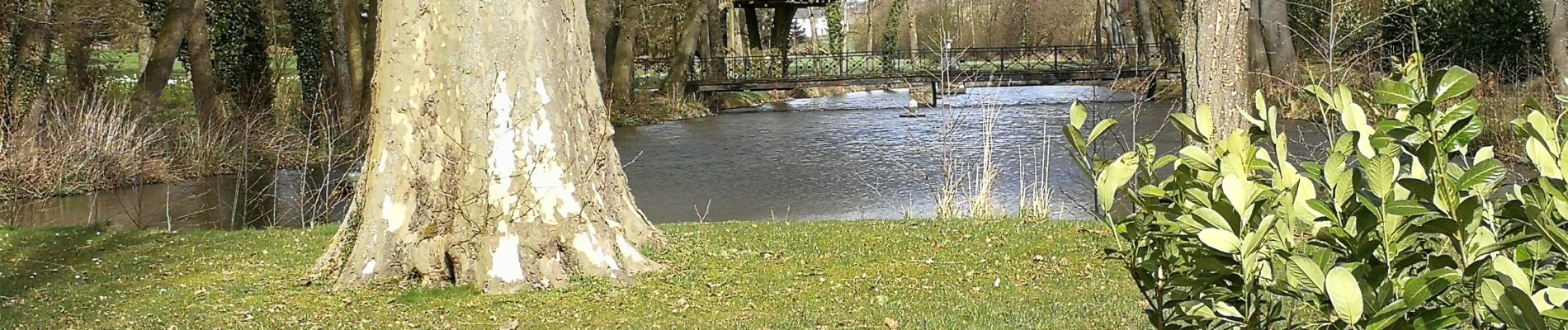 Point of interest Tubize - Cabane dans les arbres (Château de Poederlé) - Photo