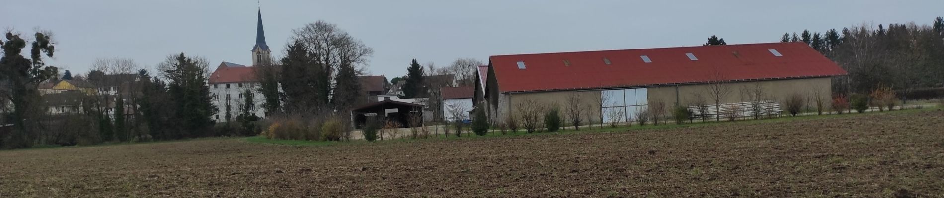 Randonnée Marche Heimsbrunn - Heimsbrunn Haulibourg - Photo