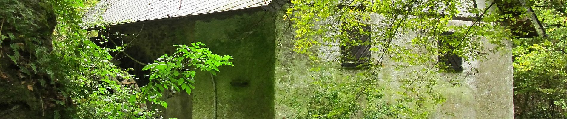 Randonnée A pied Greimersburg - Bücheler Wanderweg 2 - Photo