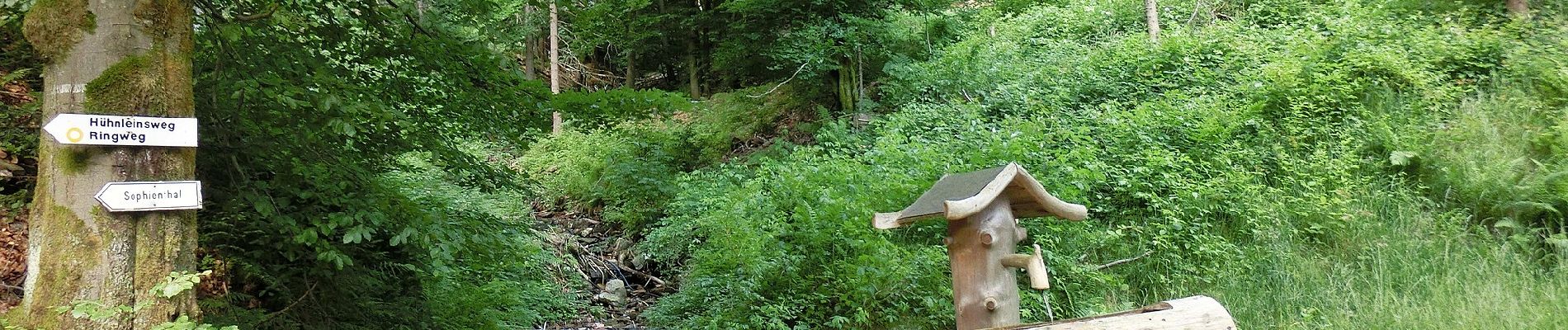 Tour Zu Fuß Warmensteinach - Warmensteinach Gelber Ringweg - Photo