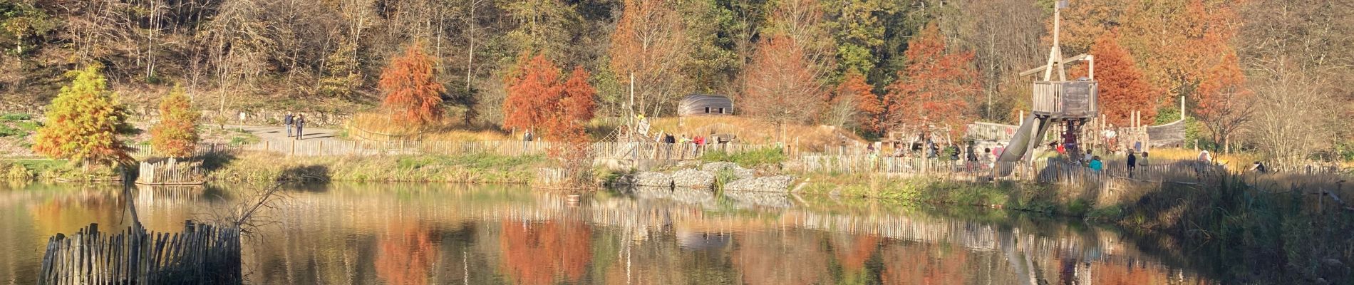 Percorso Marcia Ciney - Domaine de Chevetogne / 2020-11-06 - Photo