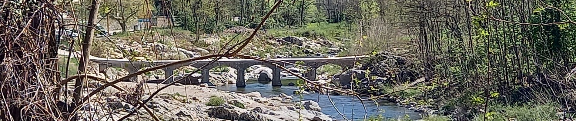 Trail Walking Saint-Jean-du-Gard - Signal Saint Pierre  - Photo