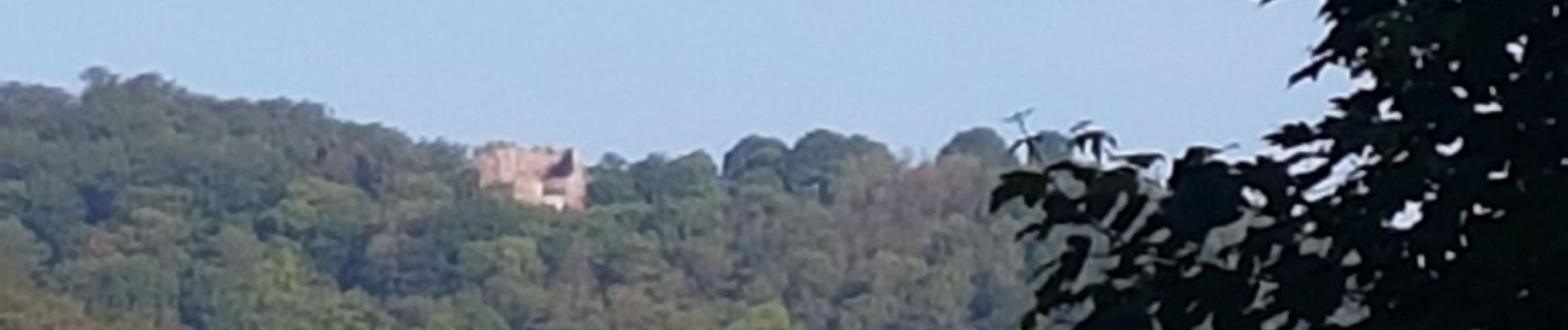 Tocht Stappen Niederbronn-les-Bains - Windstein entre châteaux et ligne Maginot - Photo