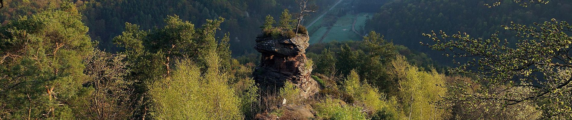 Trail On foot Spirkelbach - Wernersberg 30 - Photo