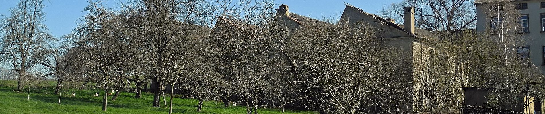 Excursión A pie Arnsdorf - Gelber Strich Pulsnitz, Großröhrsdorf, Stolpen,... - Photo