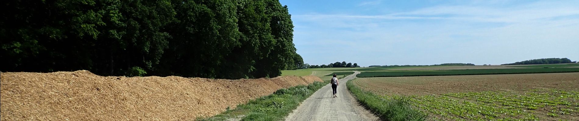 Point d'intérêt Beauvechain - Vue nord-est vers le Cayberg en bordure de la Forêt de Meerdael - Photo