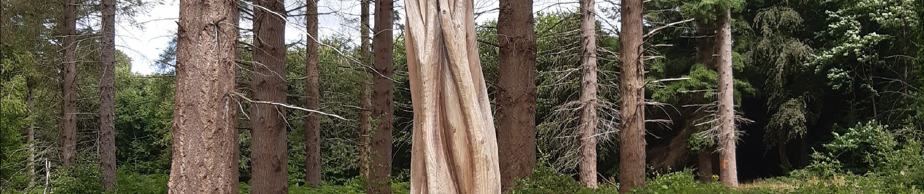 Punto di interesse Crécy-en-Ponthieu -  L'Arbre à Message - Photo