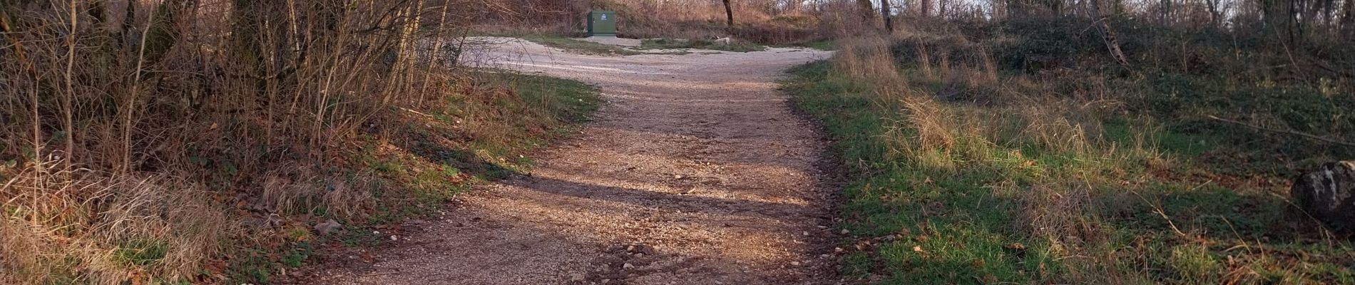 Trail Walking Tallenay - D B 01 01 23 - Photo