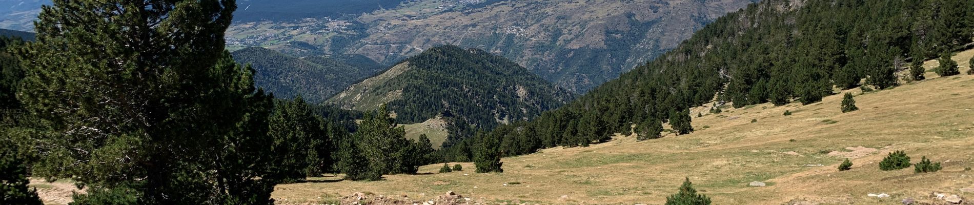 Tour Wandern Bolquère - 2022 TRANSPYRÉNÉENNE ; Superbolquère - refuge de la Carança - Photo