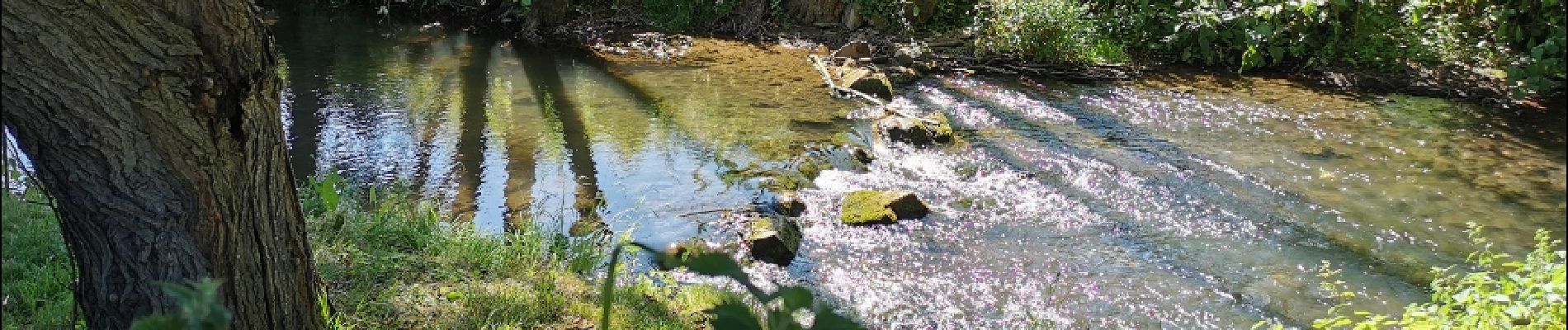 Excursión Bici de montaña Amayé-sur-Orne - Forêts_de_Cinglais_et_de_Grimbosq - Photo