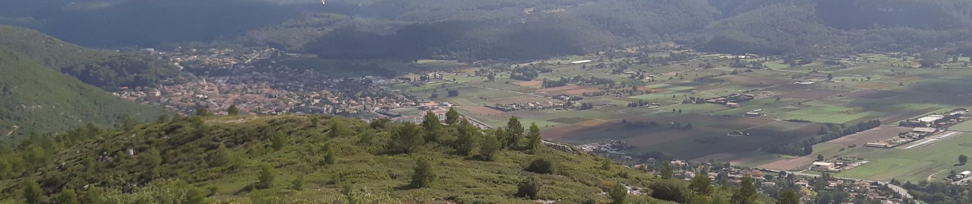 Trail Walking Cuges-les-Pins - col de l ange - Photo