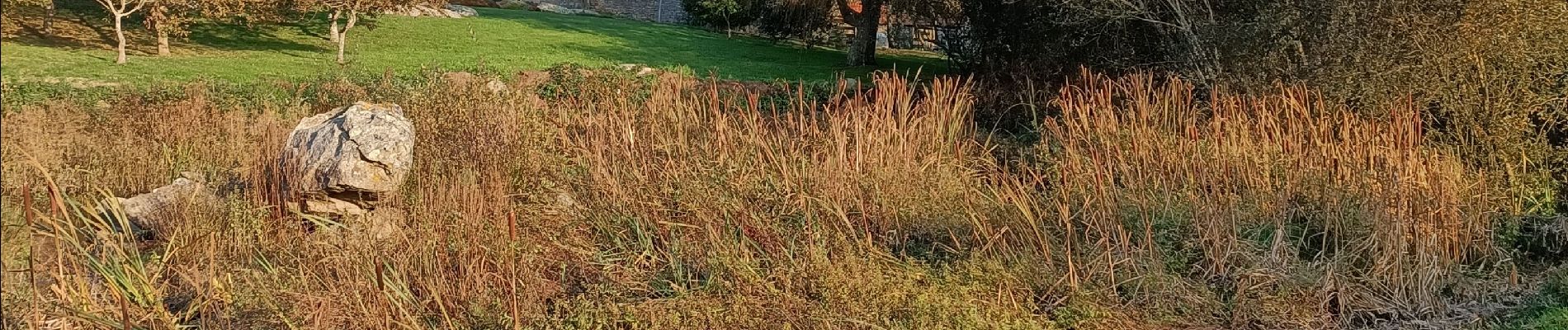 Tocht Noords wandelen Porspoder - porspoder - Photo