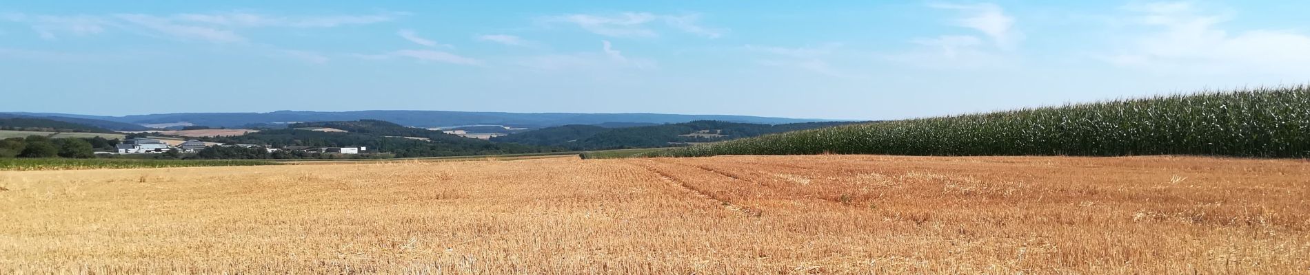 Randonnée V.T.C. Rochefort - ROCHEFORT - Eprave - Han sur Lesse - etc - Boucle de 48km - Photo