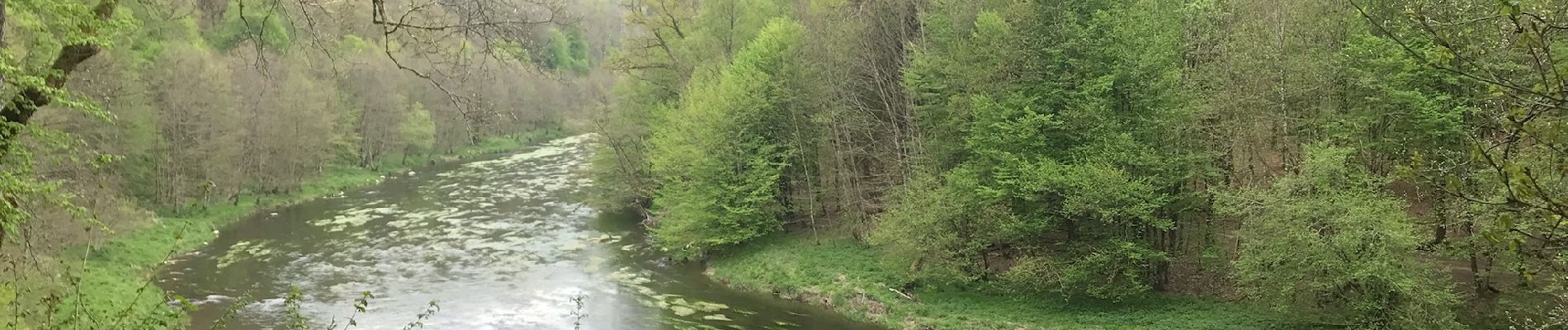 Randonnée Marche Herbeumont - RSIH - Herbeumont - Les Épioux - Photo