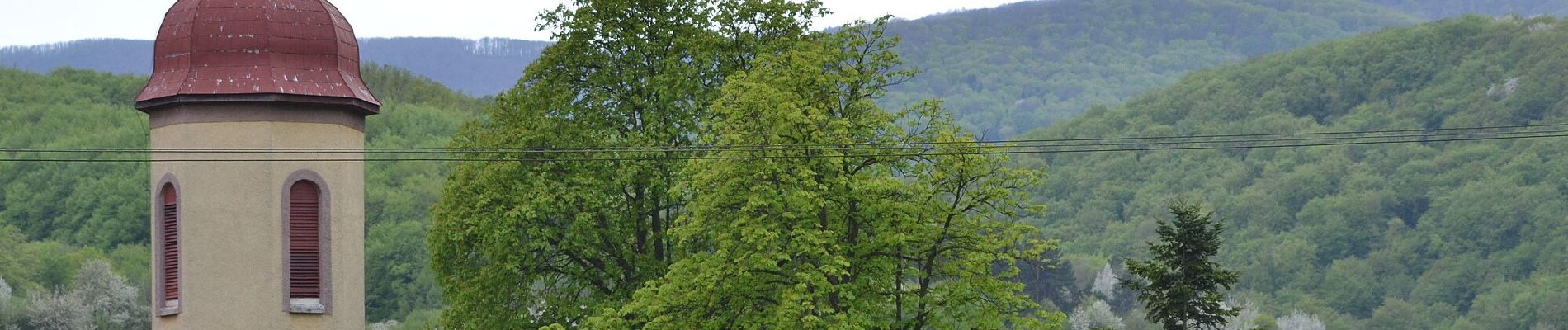 Tour Zu Fuß okres Vranov nad Topľou - Vlčí okruh - Photo