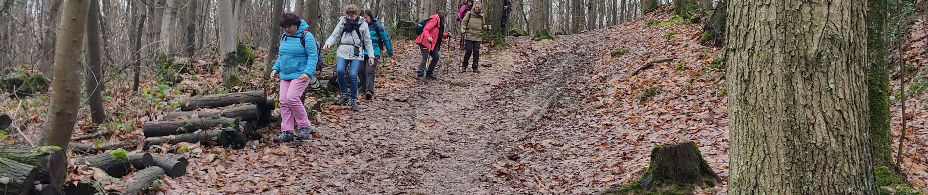 Tour Wandern Gif-sur-Yvette - Sur les hauteurs de la Mérantaise - Photo