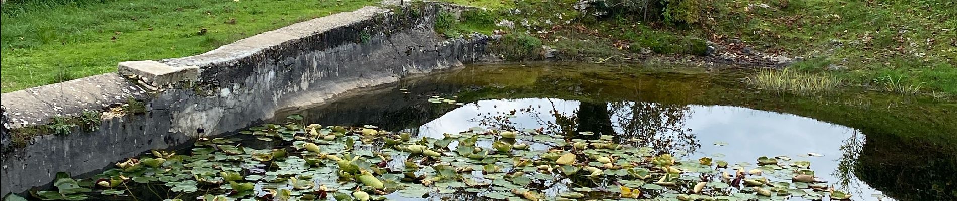 Tocht Stappen Lentillac-du-Causse - Lentillac Orniac  - Photo